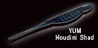 Houdini Shad