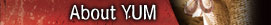 About YUM Baits