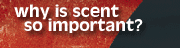 Why is scent so important?